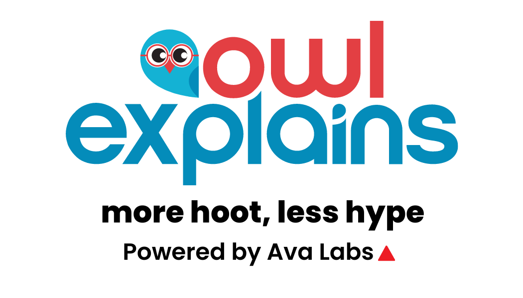 Owl Explains